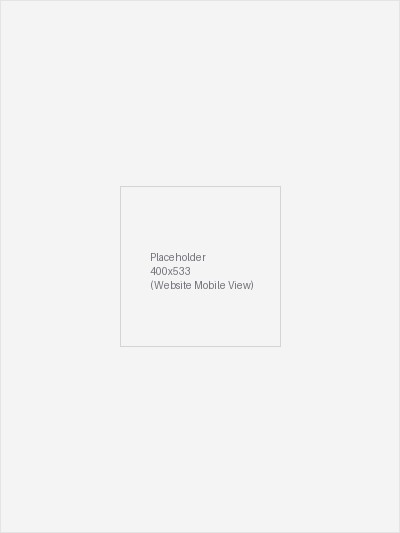 Website — Mobile View